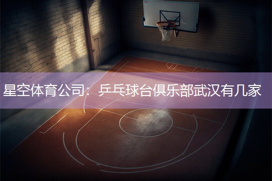 星空体育公司：乒乓球台俱乐部武汉有几家