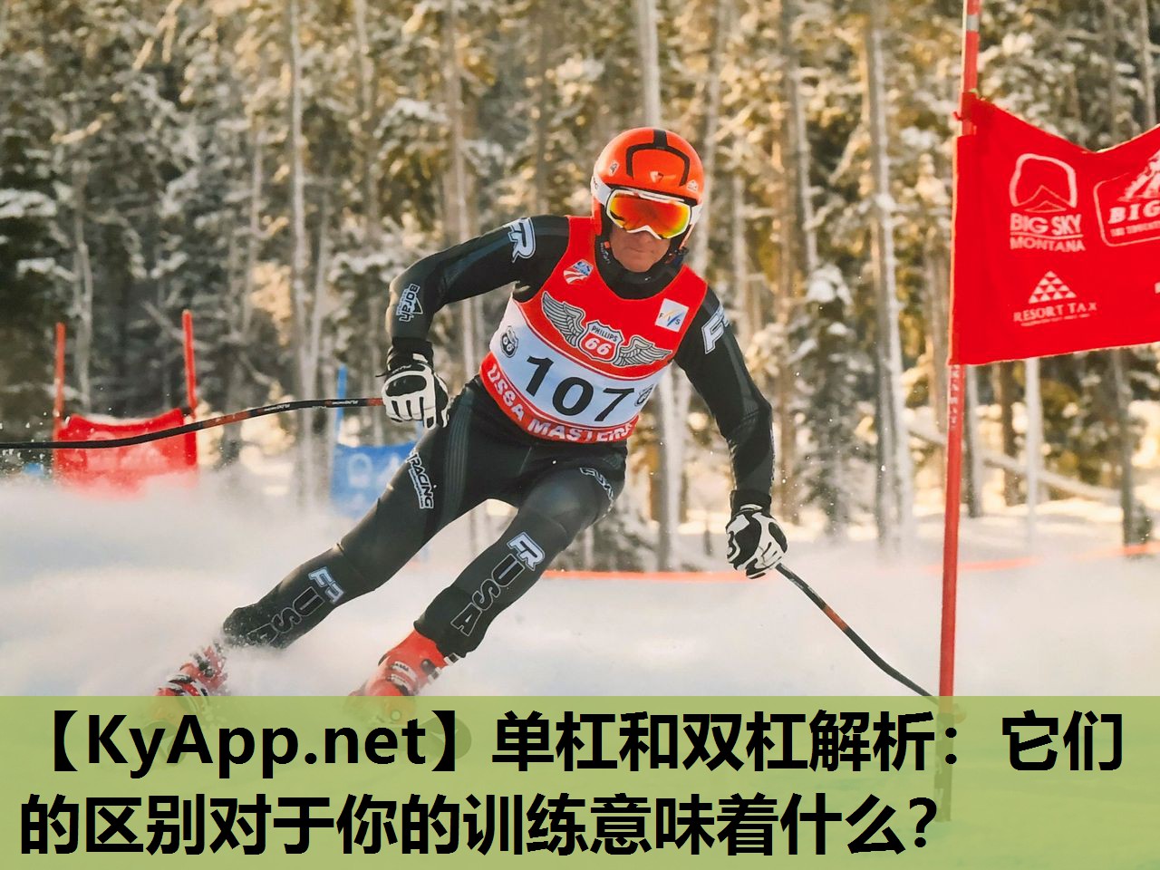 单杠和双杠解析：它们的区别对于你的训练意味着什么？