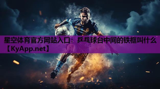 乒乓球台中间的铁框叫什么