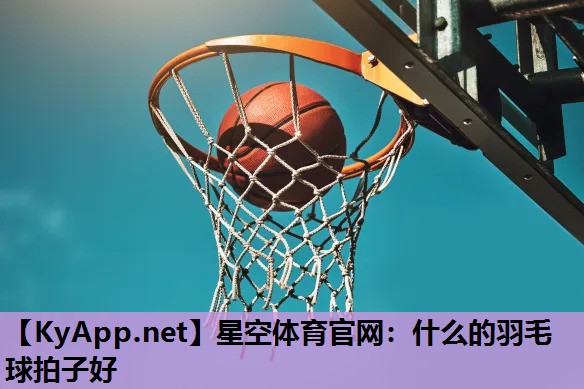 什么的羽毛球拍子好